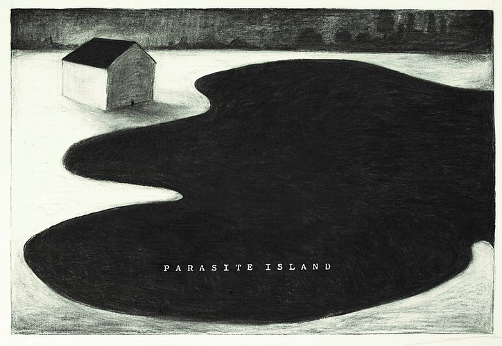 Ansicht der Ausstellung "Parasite Island" von Herbert Nauderer. Werk: Haus am See. Kohle/Papier, 2024.
